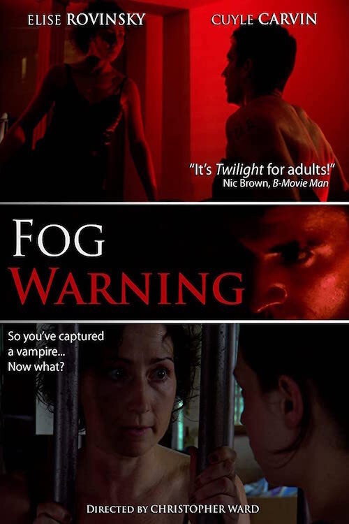 Movie poster for Fog Warning (2011)