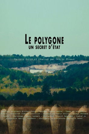 Movie poster for Le Polygone, un secret d'État (2024)