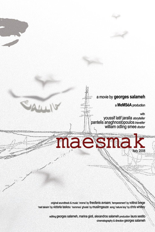 Movie poster for Maesmak (2008)