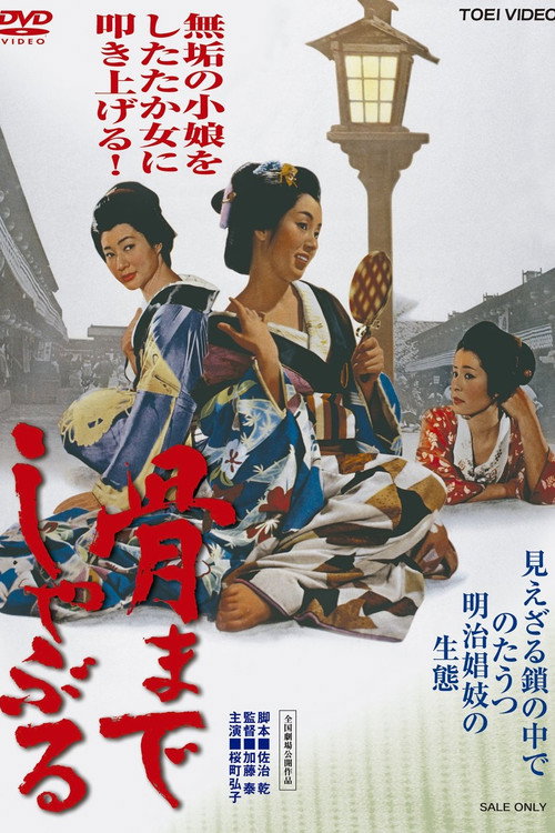 Movie poster for Nothing But Bones (1966)