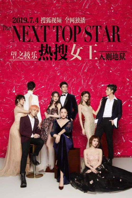 The Next Top Star poster