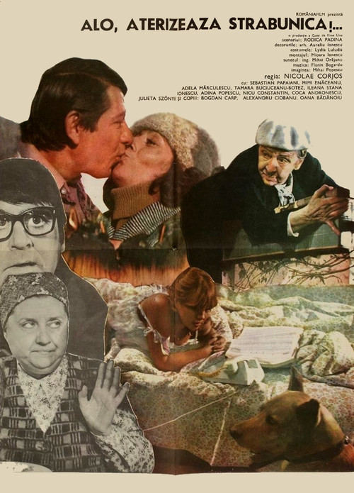 Movie poster for Hello, Greatgranny Is Landing! (1981)