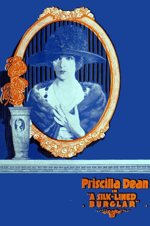 Movie poster for The Silk Lined Burglar (1919)