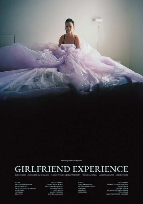 Movie poster for Girlfriend Experience (2024)