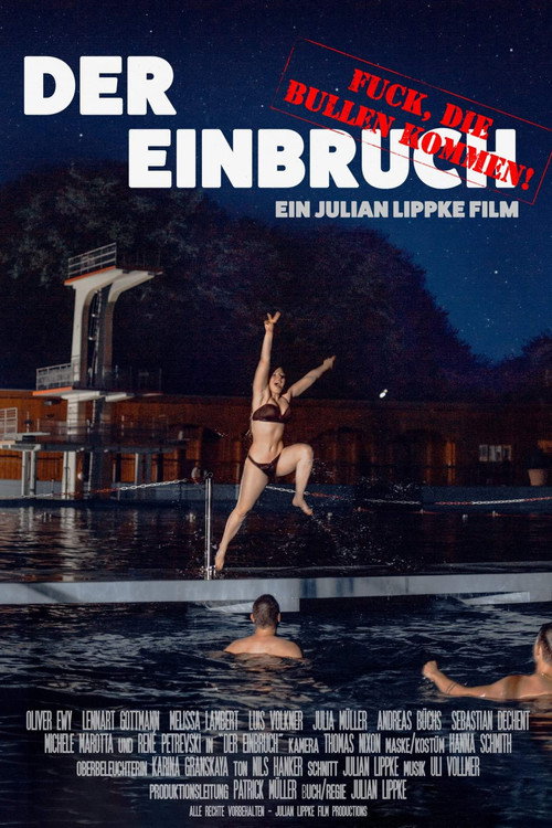Movie poster for Der Einbruch (2020)
