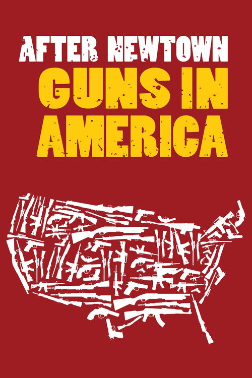 Movie poster for After Newtown: Guns in America (2013)