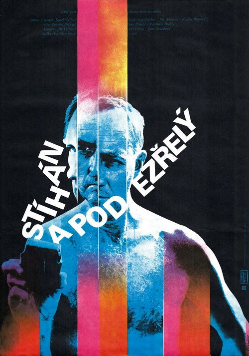 Movie poster for Chased and Suspected (1979)