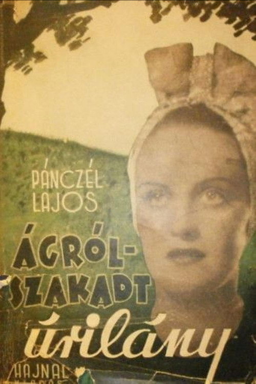 Movie poster for Lady Over the Abyss (1943)