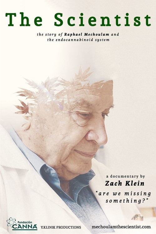 Movie poster for The Scientist: Are We Missing Something? (2015)
