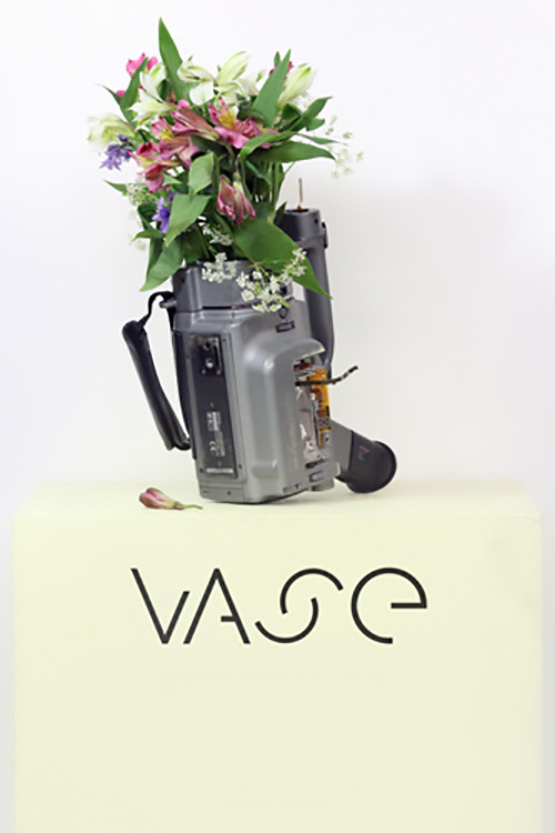 Movie poster for Vase (2015)