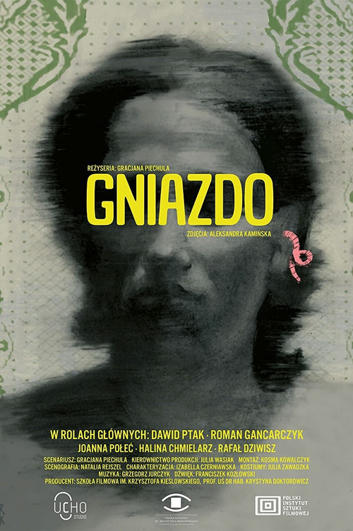 Movie poster for The Nest (2021)