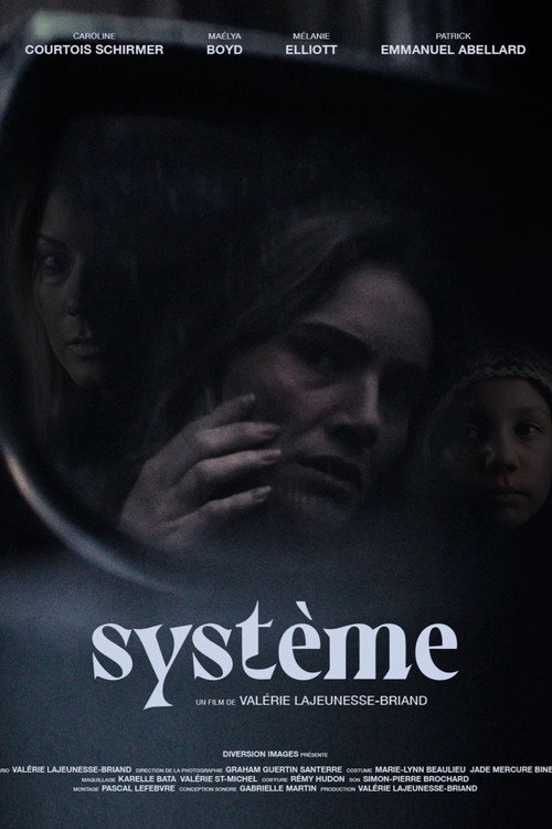 Movie poster for Système