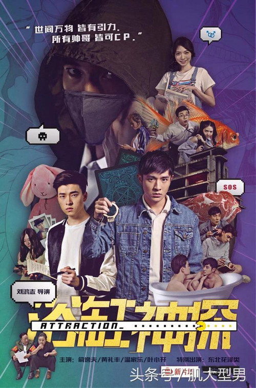 Movie poster for Attraction (2016)