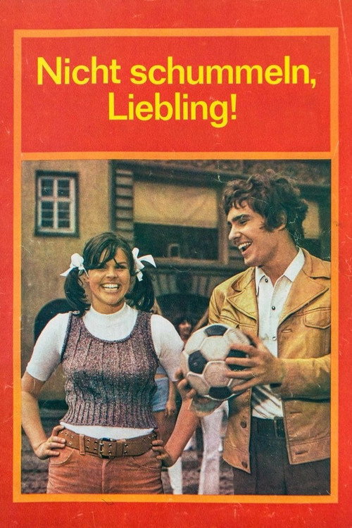 Movie poster for No Cheating, Darling (1973)