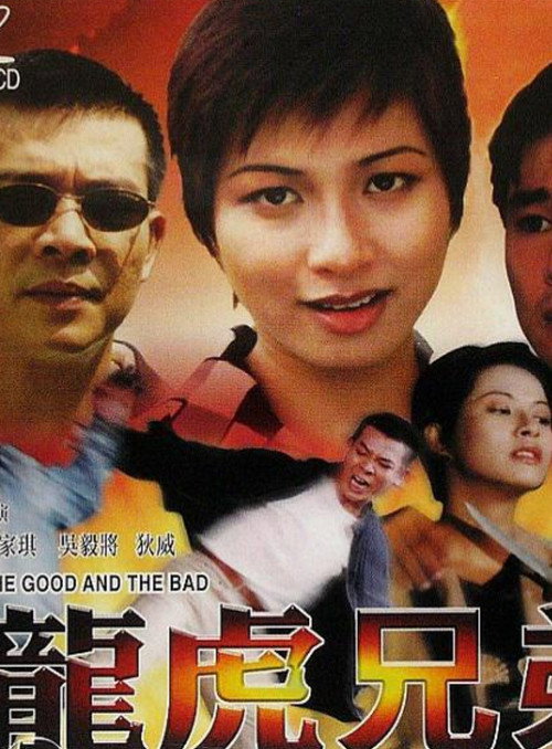 Movie poster for The Good and the Bad (1999)