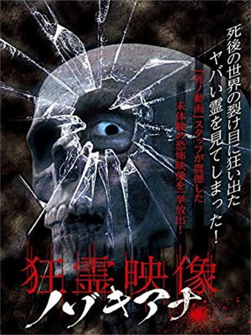 Movie poster for Crazy Spirit Video Nozokiana (2016)