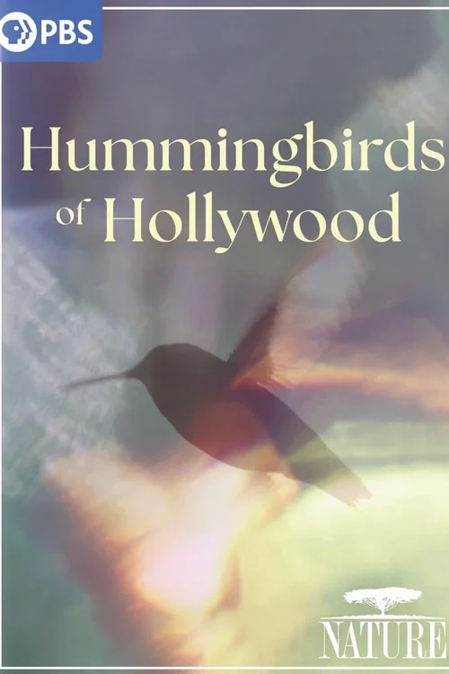 Movie poster for Hummingbirds of Hollywood (2025)