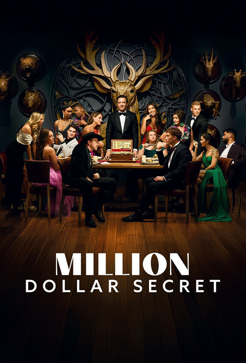 Series poster for Million Dollar Secret (2025)