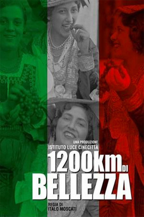 Movie poster for 1200 km of Beauty (2016)