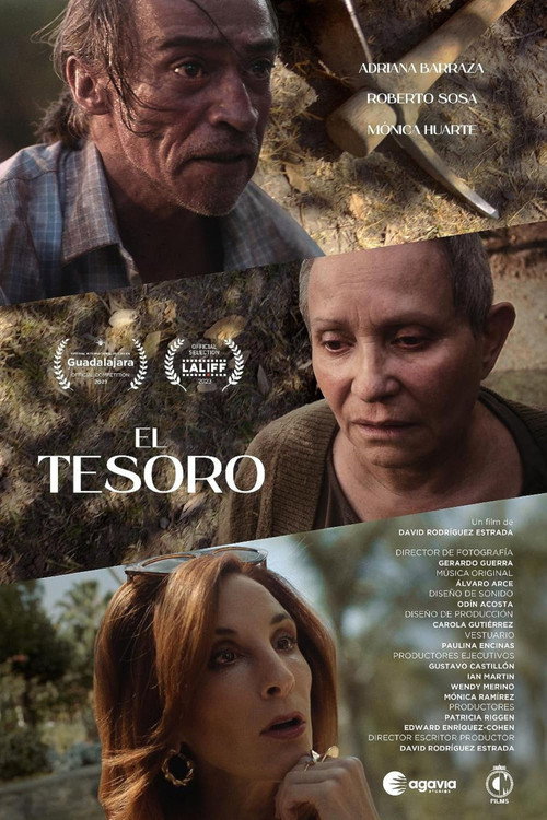 Movie poster for The Treasure (2023)