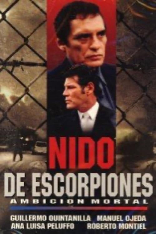 Movie poster for Abuso: Ambición mortal (2001)