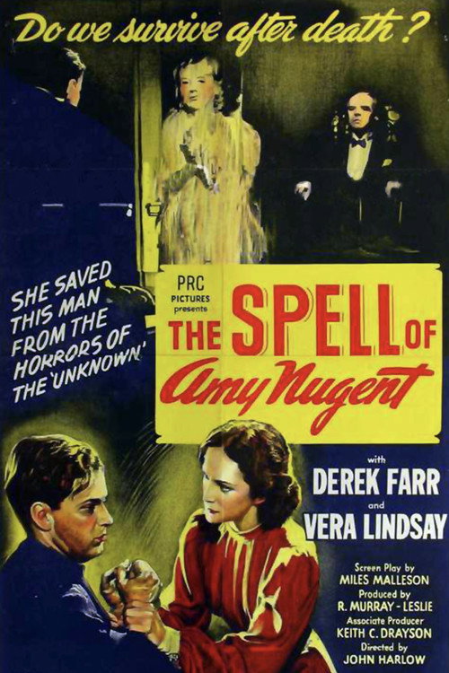 Movie poster for The Spell of Amy Nugent (1941)