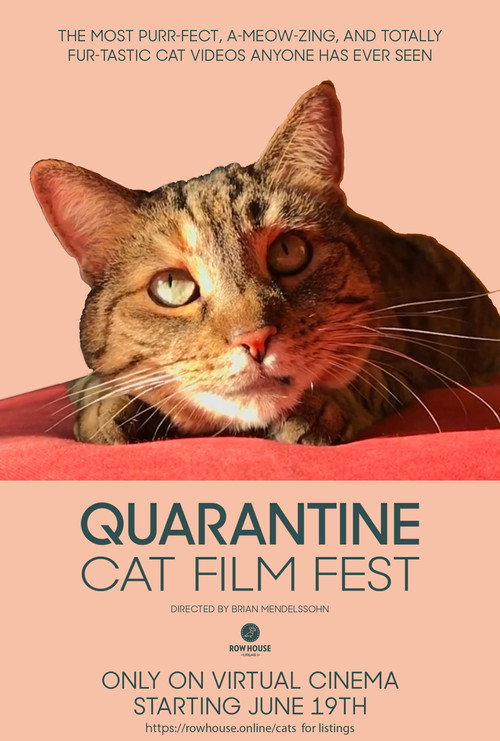 Movie poster for Quarantine Cat Film Festival (2020)