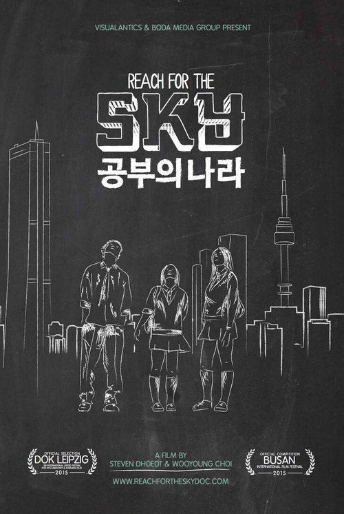 Movie poster for Reach for the SKY (2015)
