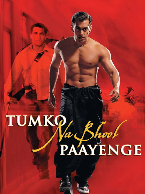 Movie poster for Tumko Na Bhool Paayenge (2002)