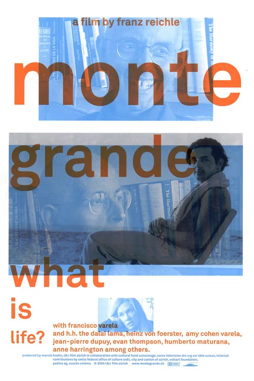 Movie poster for Monte Grande: What is Life? (2005)