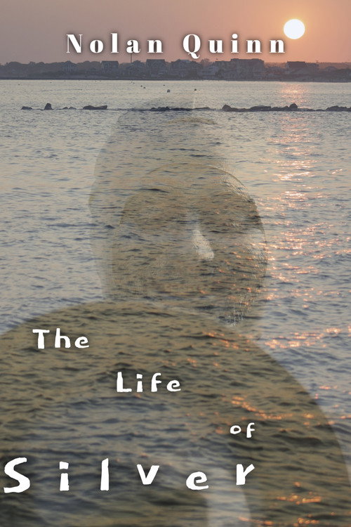 Movie poster for The Life of Silver (2025)