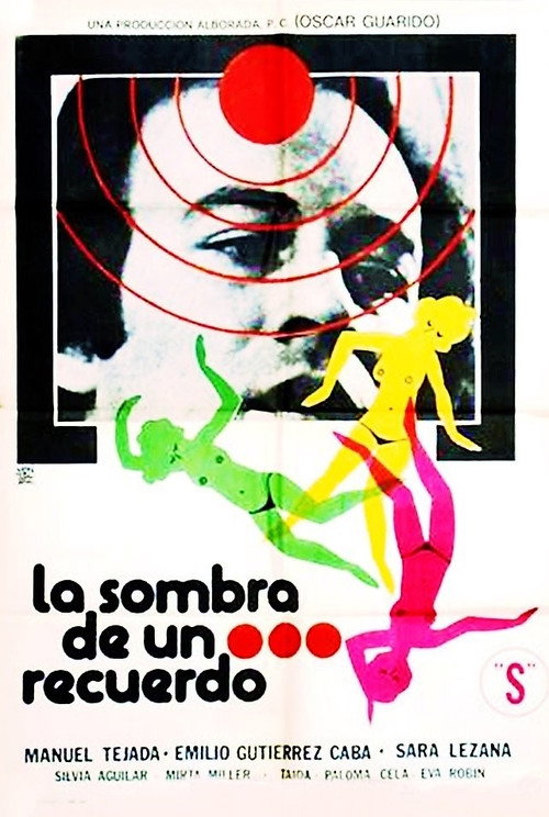 Movie poster for The Shadow of a Memory (1978)