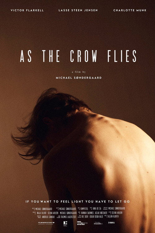 Movie poster for As the Crow Flies (2021)