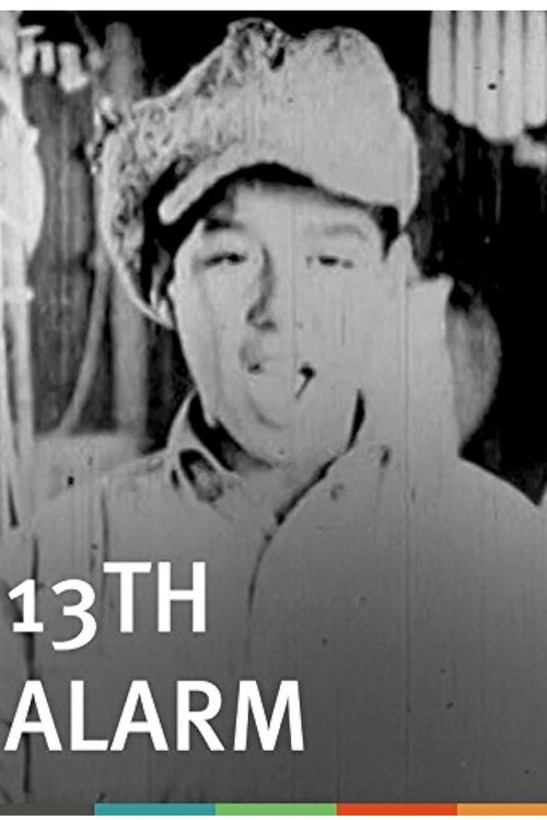 Movie poster for 13th Alarm (1925)