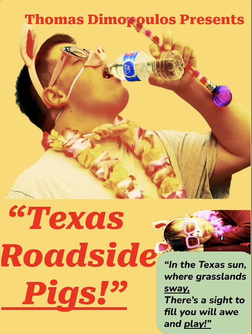 Movie poster for Texas Roadside Pigs!