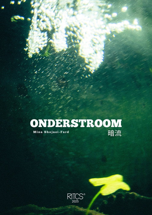 Movie poster for Undercurrent - 暗流 (2025)