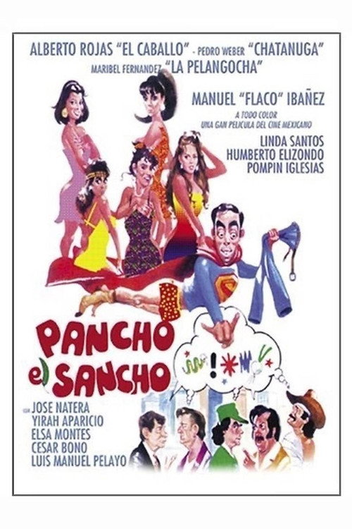 Movie poster for Pancho el Sancho (1988)