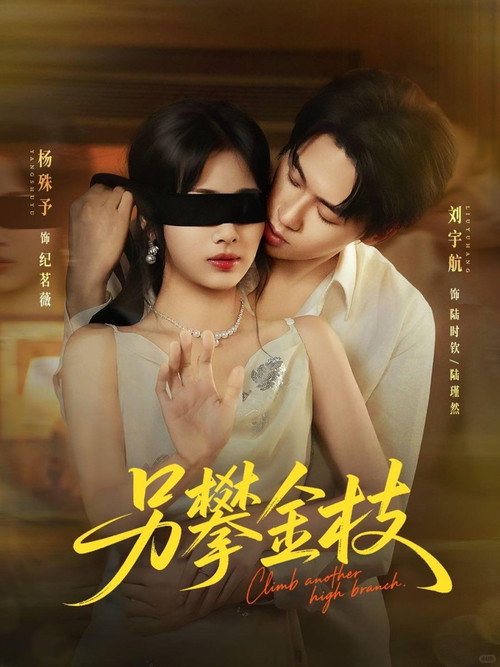 另攀金枝 poster