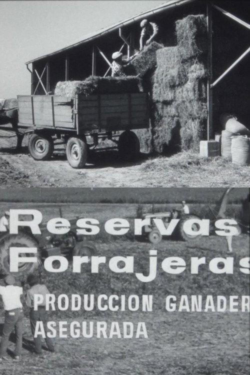 Movie poster for Reservas forrajeras, producción ganadera asegurada (1965)