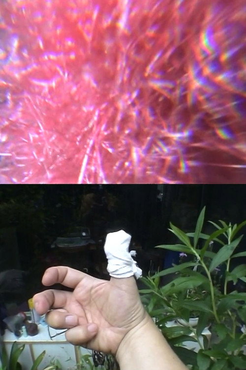 Movie poster for The Amazing Change of Flowers In My Little Garden (2008)