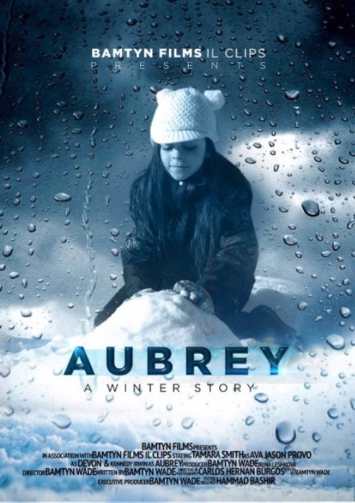 Movie poster for A Winter Story (2021)