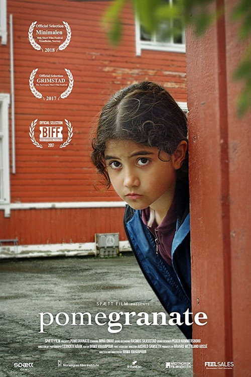 Movie poster for Pomegranate (2017)
