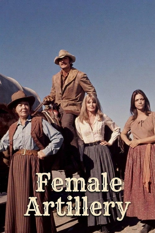 Movie poster for Female Artillery (1973)
