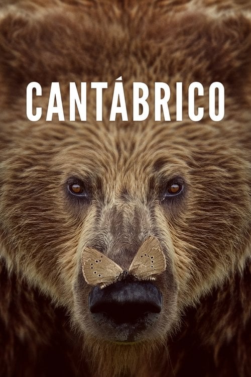 Movie poster for Cantábrico (2017)