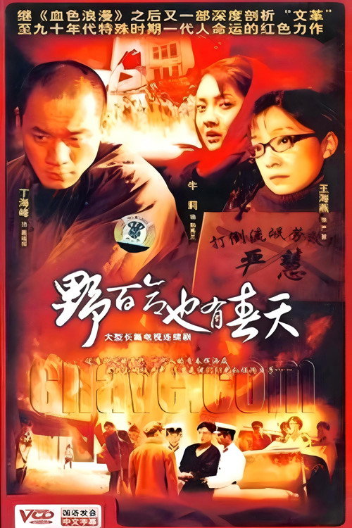 Series poster for 野百合也有春天 (2007)