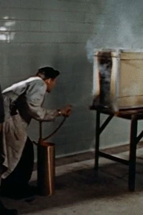 Movie poster for Setting Fires for Science (1958)