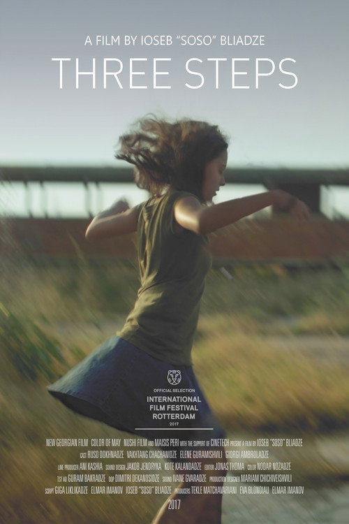Movie poster for Three Steps (2017)
