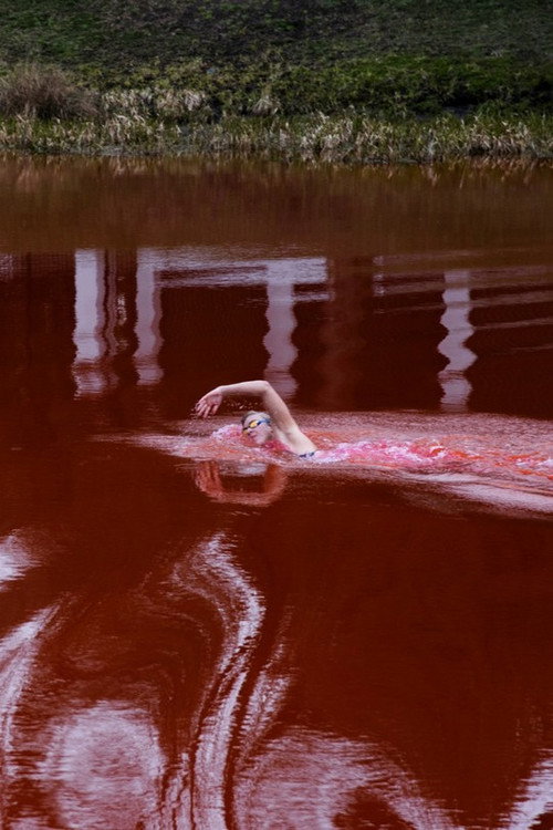 Movie poster for Swimming Through (2022)