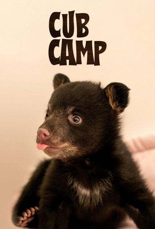 Cub Camp poster