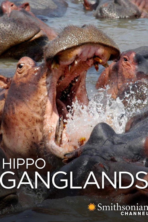 Movie poster for Hippo Ganglands (2014)
